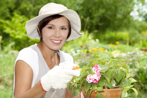 Healthy maintained tree landscape in Southgate after professional care