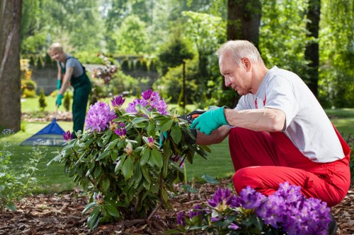 Accessible tree surgery Southgate content and screen-reader support concept