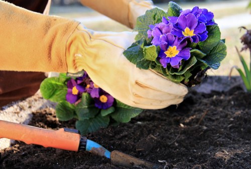 Free quote policy for Southgate tree surgery services