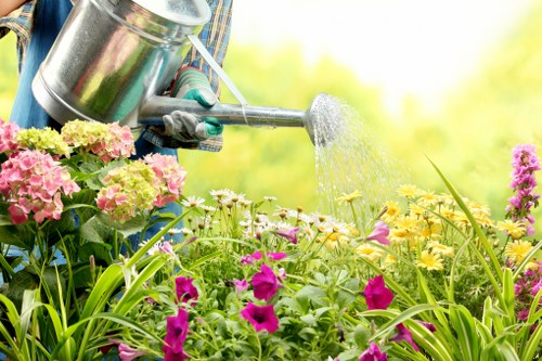 Garden hedge trimming and cleanup service in Southgate