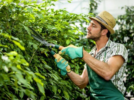 Due diligence and ethical supplier assessment in tree surgery