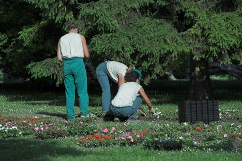 Senior reviewer examining a tree surgery issue