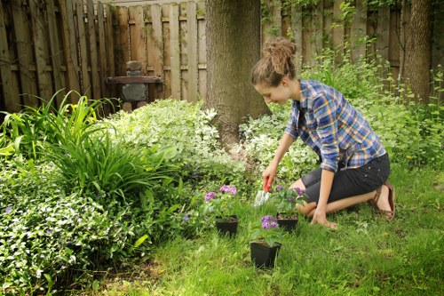 Supplier audits and labour standards monitoring in arboriculture